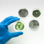 Bioaktywne powłoki w instalacjach sanitarnych – przyszłość higieny