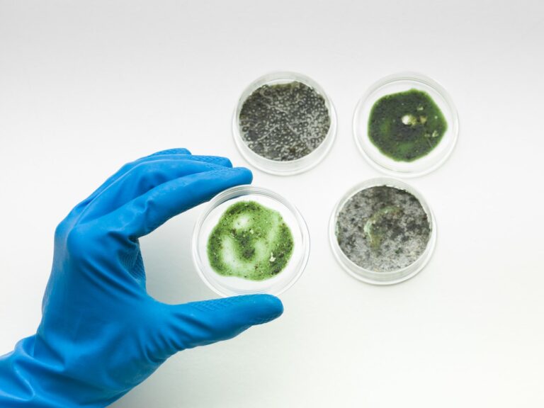 Bioaktywne powłoki w instalacjach sanitarnych – przyszłość higieny