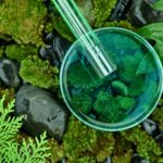 Bioaktywne systemy filtracji – trendy i wyzwania
