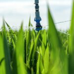 Kiedy warto zainwestować w inteligentny system podlewania ogrodu?