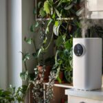 Kiedy warto zainwestować w automatyczny system kontroli wilgotności w domu?